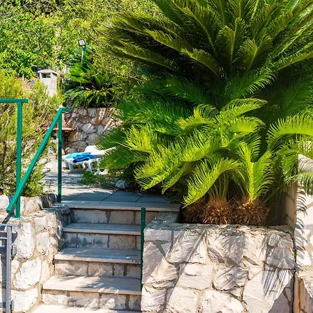 Quiet Sea View Good Location With Terrace Daire Zaton (Dubrovnik-Neretva)